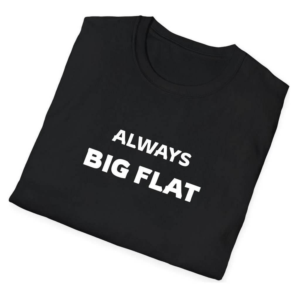 ALWAYS Big Flat — Black — view 4