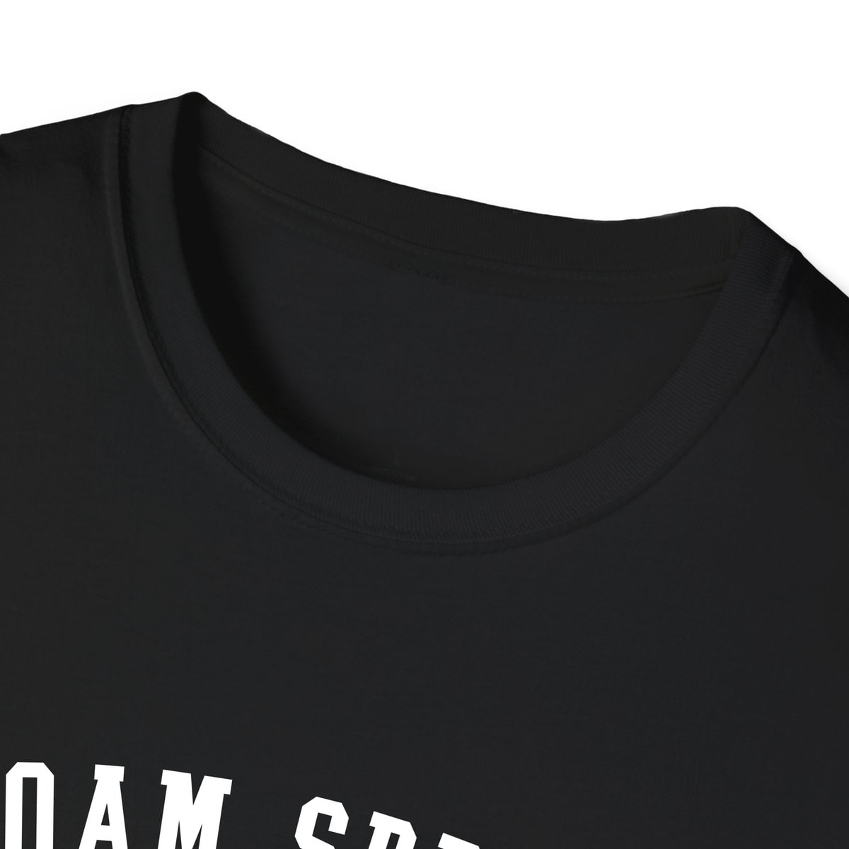 Siloam Springs ARKANSAS ARCHED — Black — view 3