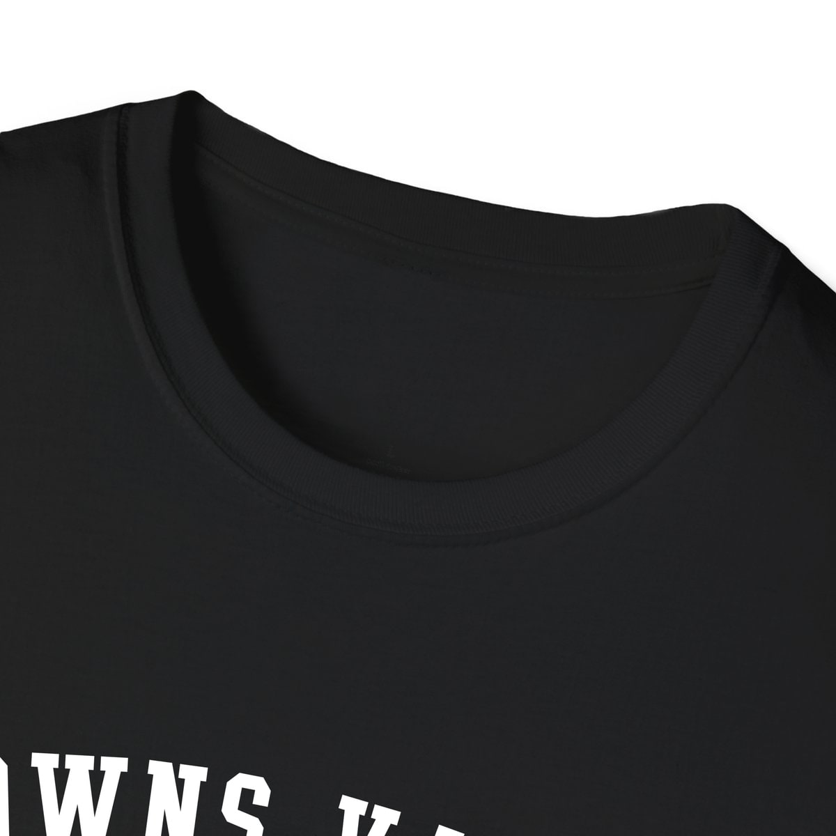 Browns Valley 95918 ARCHED — Black — view 3