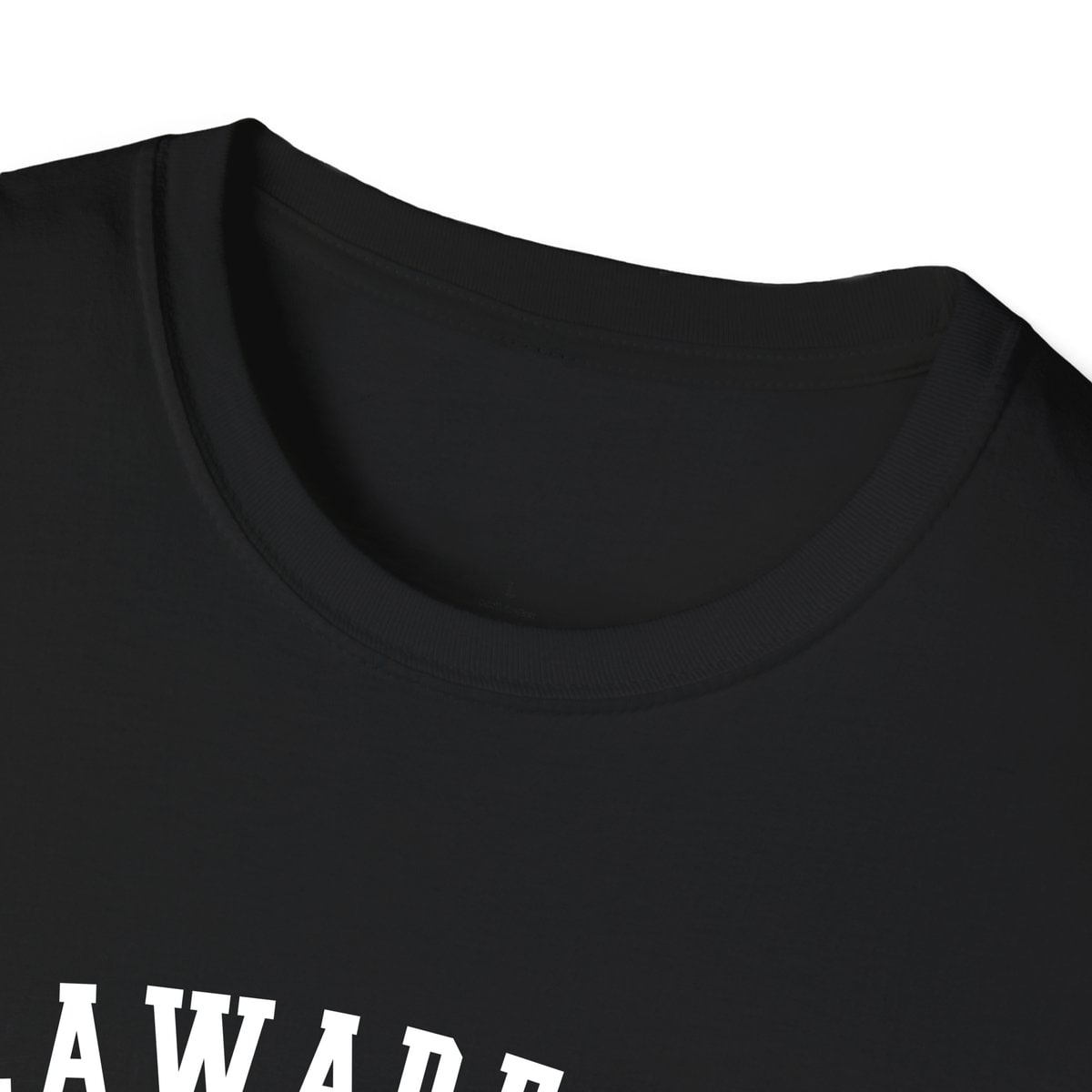 Delaware City DELAWARE ARCHED — Black — view 3