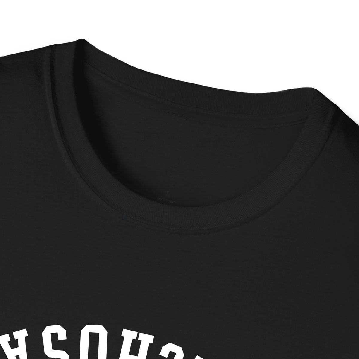 Nachusa ILLINOIS ARCHED - UPSIDE DOWN — Black — view 3