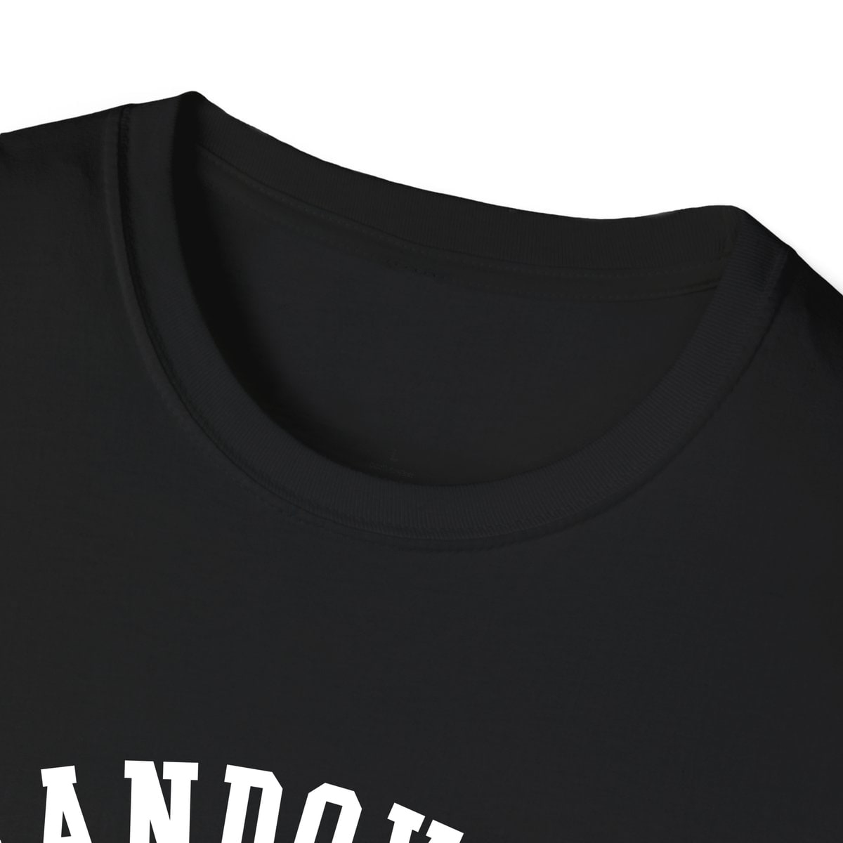 Sandoval ILLINOIS ARCHED — Black — view 3
