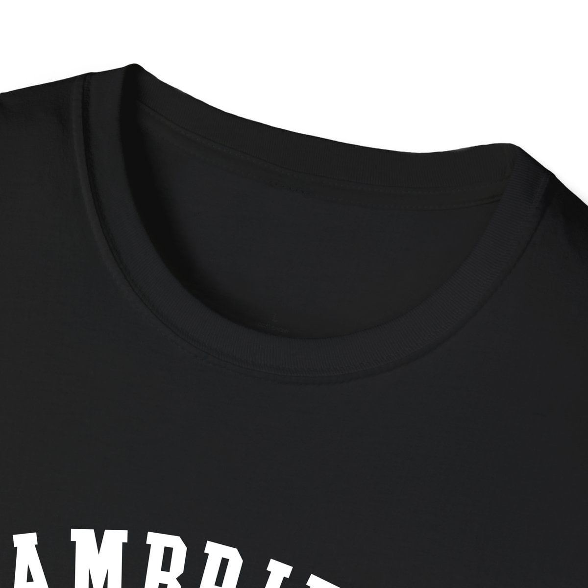 Cambridge ARCHED — Black — view 3