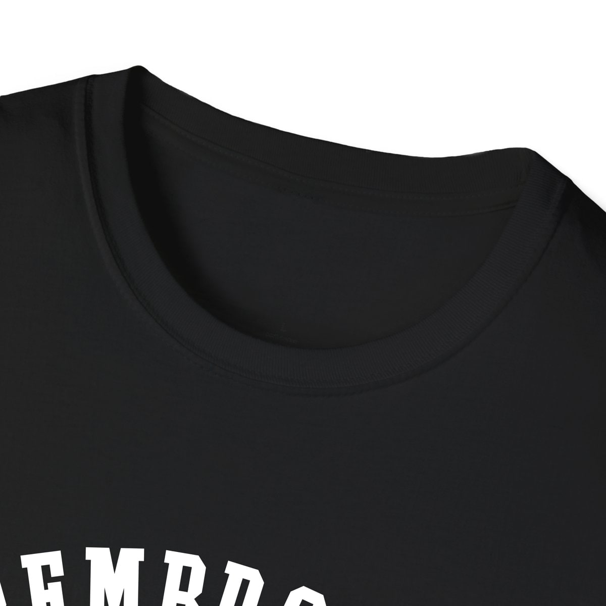 Pembroke KENTUCKY ARCHED — Black — view 3