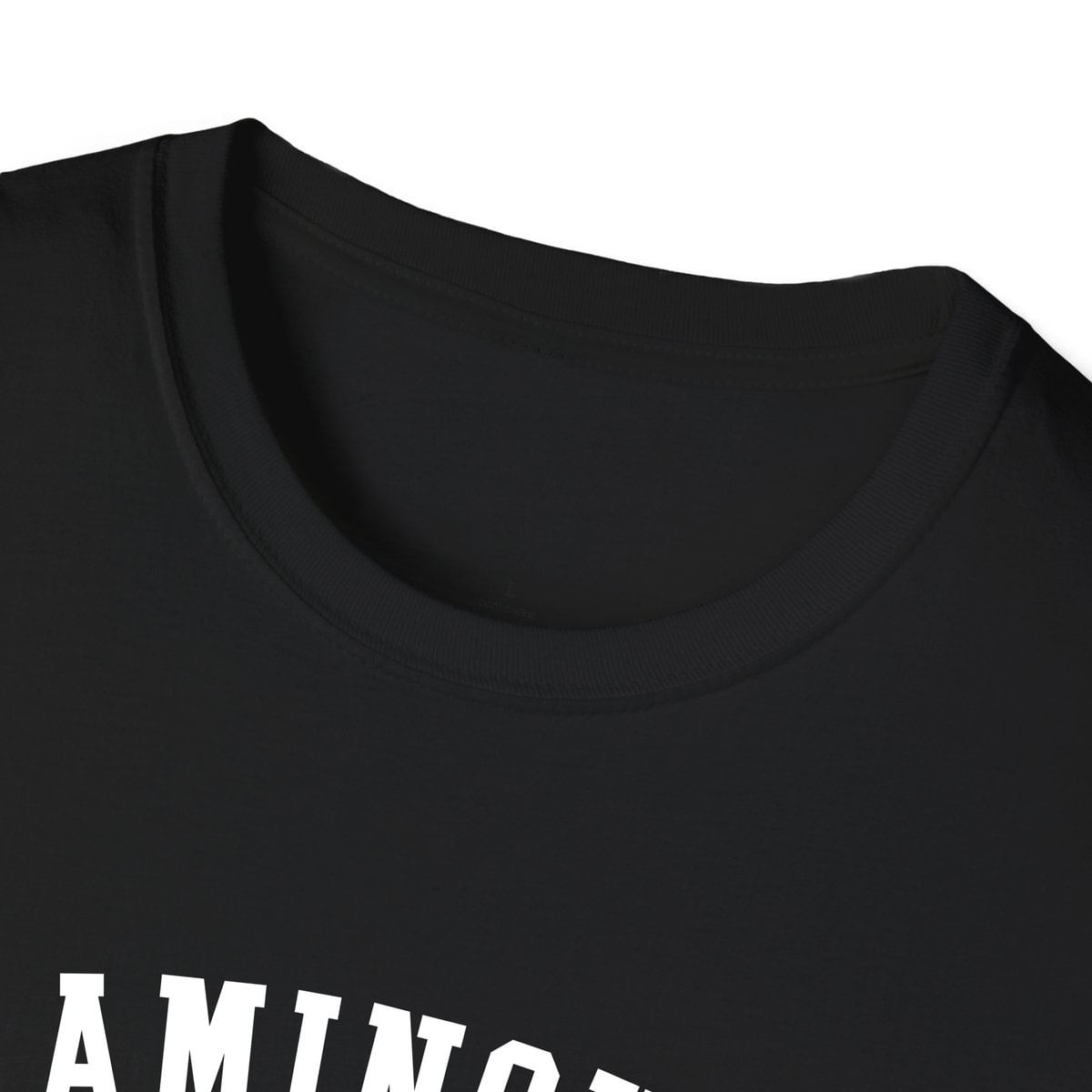 Framingham 01701 ARCHED — Black — view 3