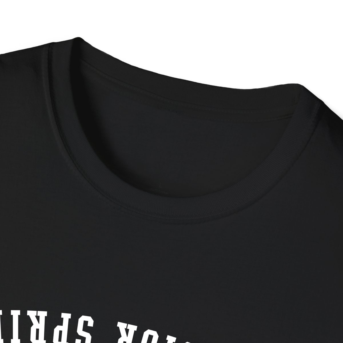 Excelsior Springs MISSOURI ARCHED - UPSIDE DOWN — Black — view 3