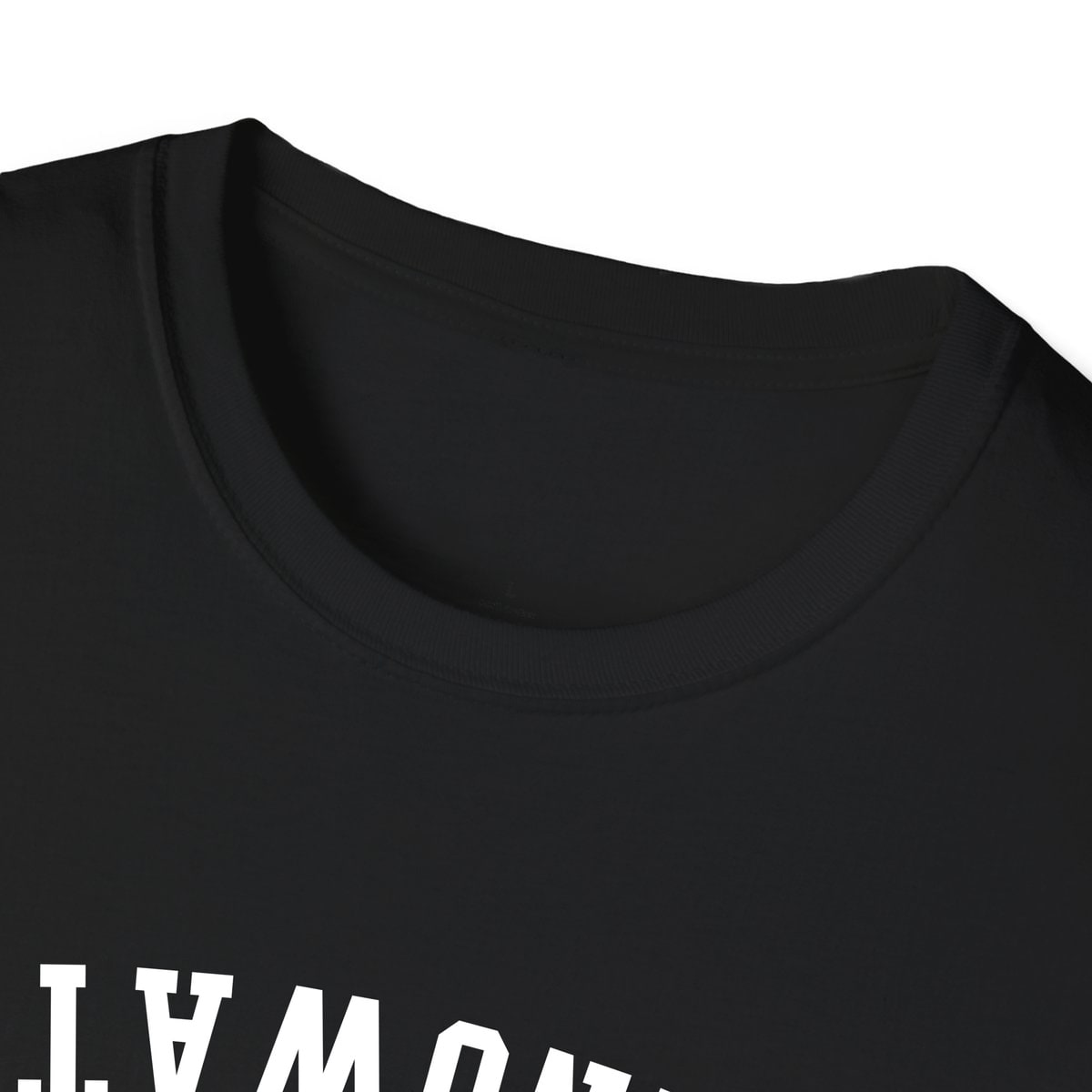Springwater NEW YORK ARCHED - UPSIDE DOWN — Black — view 3