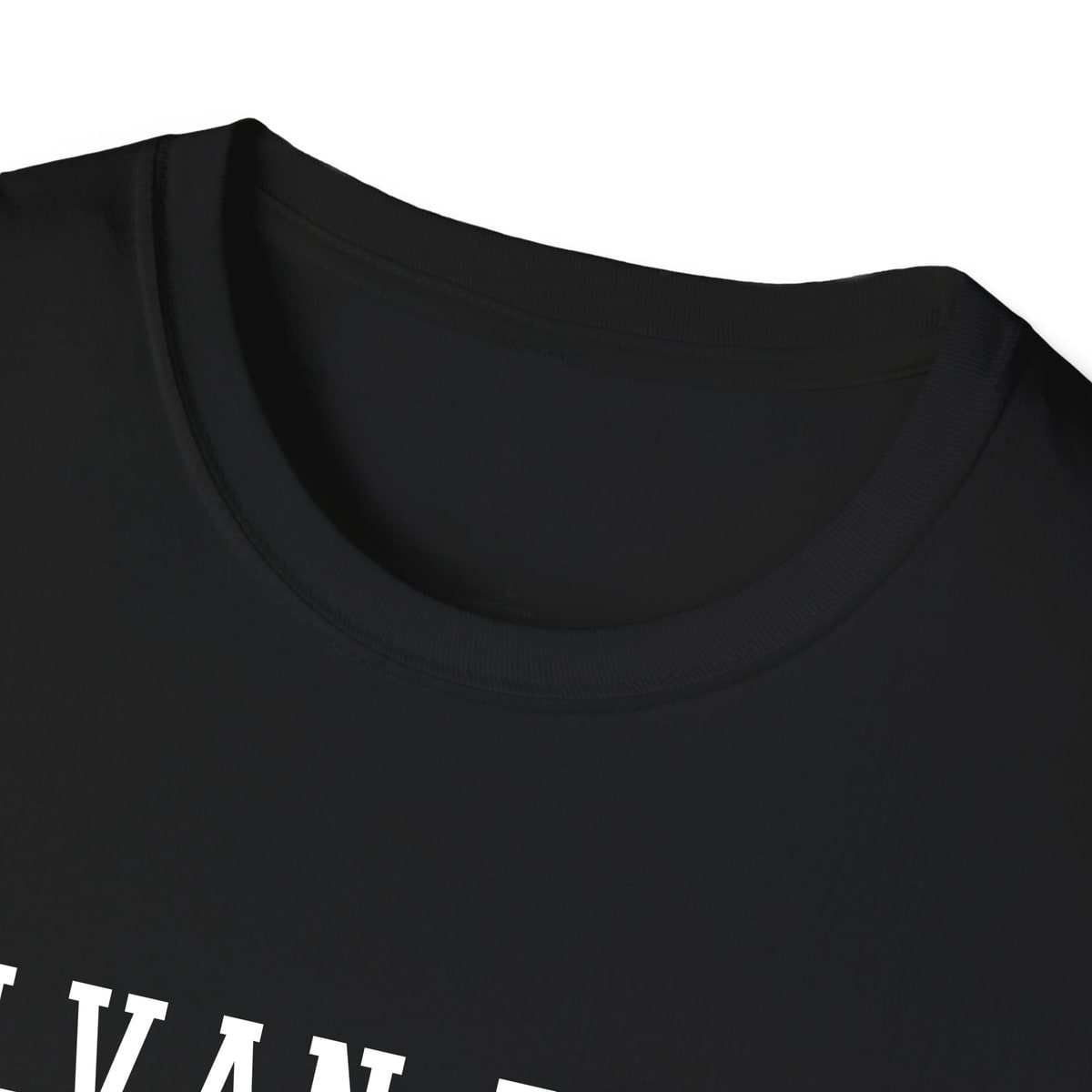 Sylvan Beach STANDARD ISSUE — Black — view 3
