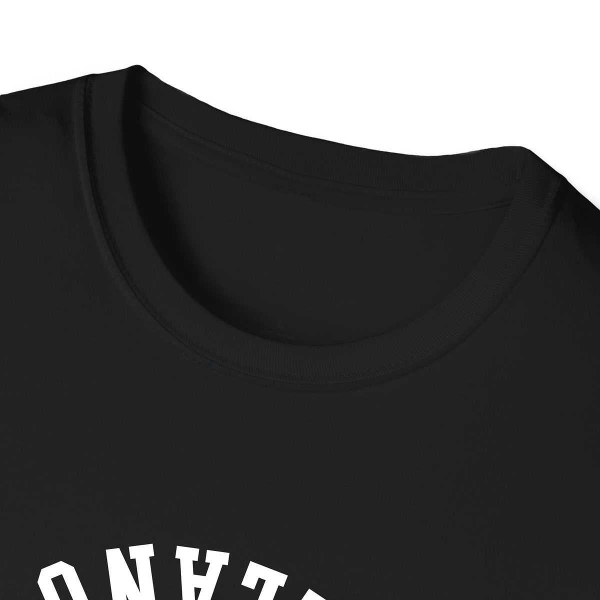 Delano PENNSYLVANIA ARCHED - UPSIDE DOWN — Black — view 3