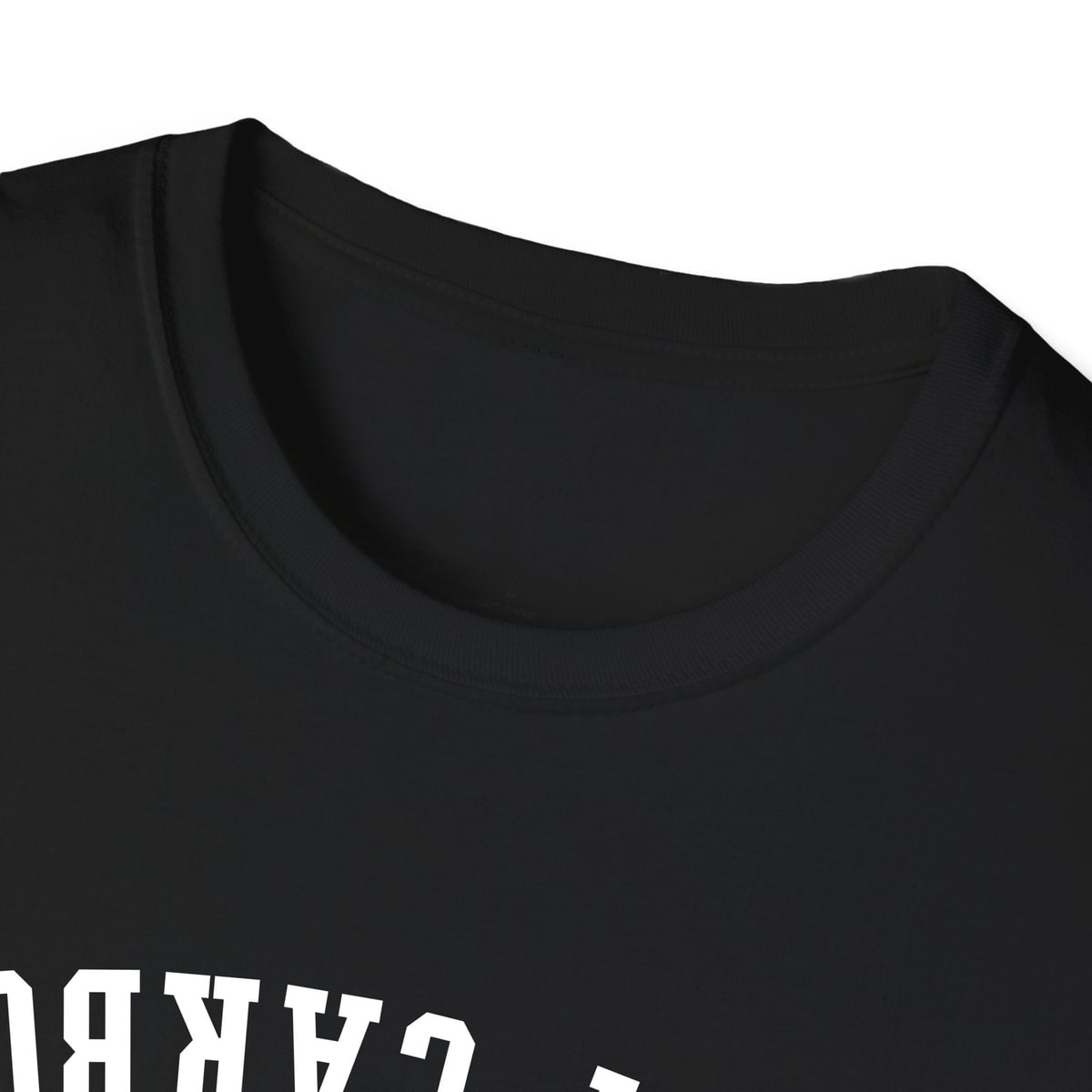 Port Carbon PENNSYLVANIA ARCHED - UPSIDE DOWN — Black — view 3