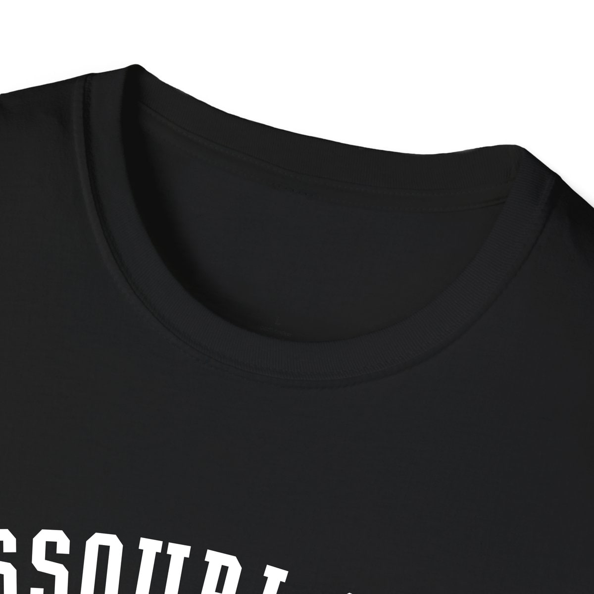 Missouri City TEXAS ARCHED — Black — view 3