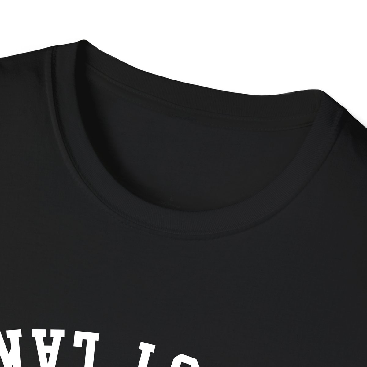 Trout Lake ARCHED - UPSIDE DOWN — Black — view 3